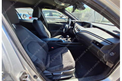 2021 Lexus UX 250h, Benzinas / Elektra